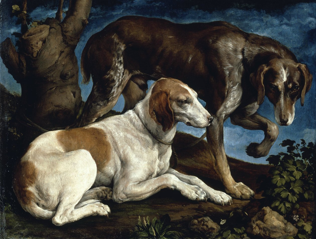 Két vadászkutya, 1548-1549. alkotó: Jacopo Bassano il vecchio