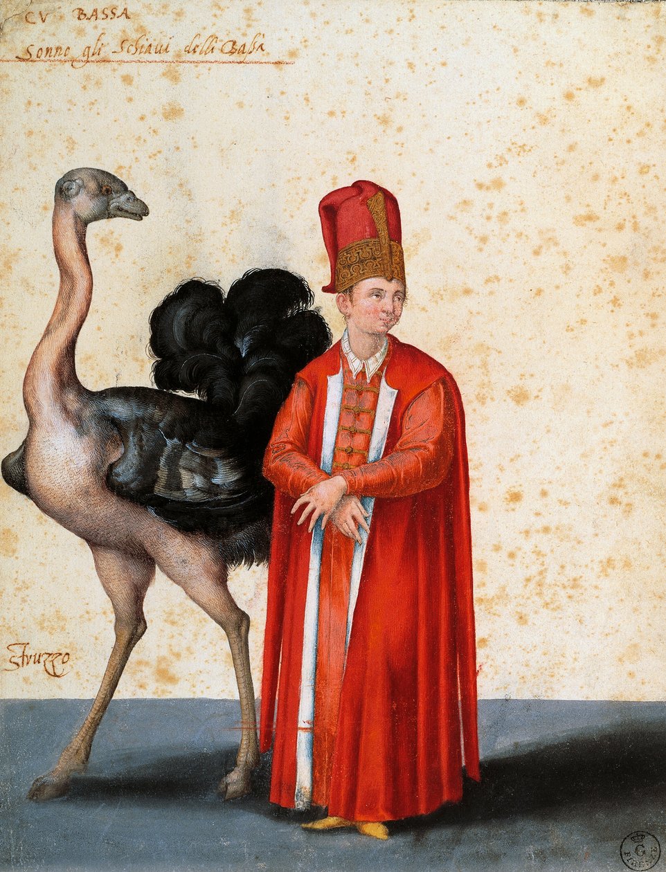 Rabszolga struccal, Jacopo Ligozzi (1547-1627) rajza alkotó: Jacopo Ligozzi
