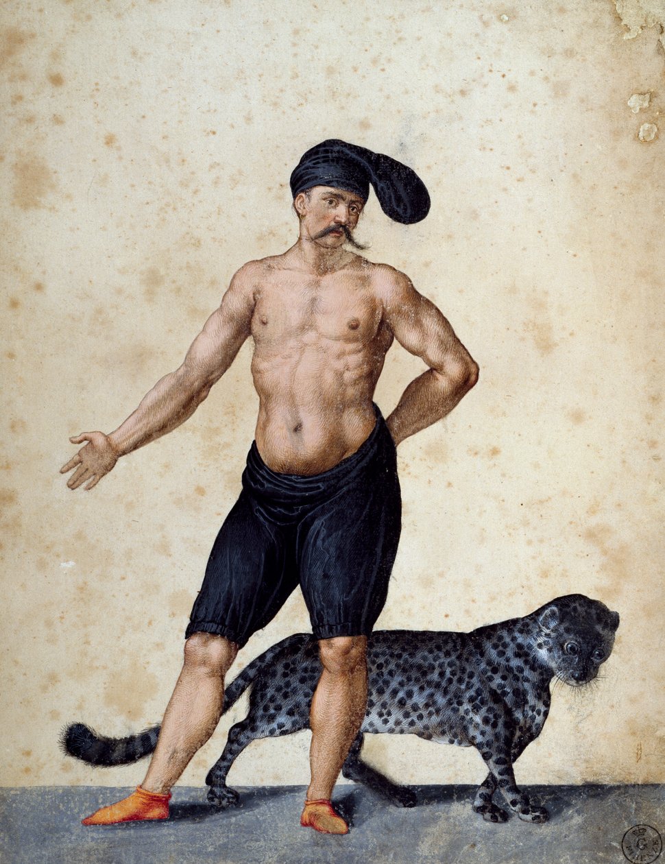 Elöl afrikai fiatalember áll, félig öltözött, fején hosszú berretta (sapka), mögötte tigris, Jacopo Ligozzi (1547-1627) rajza alkotó: Jacopo Ligozzi