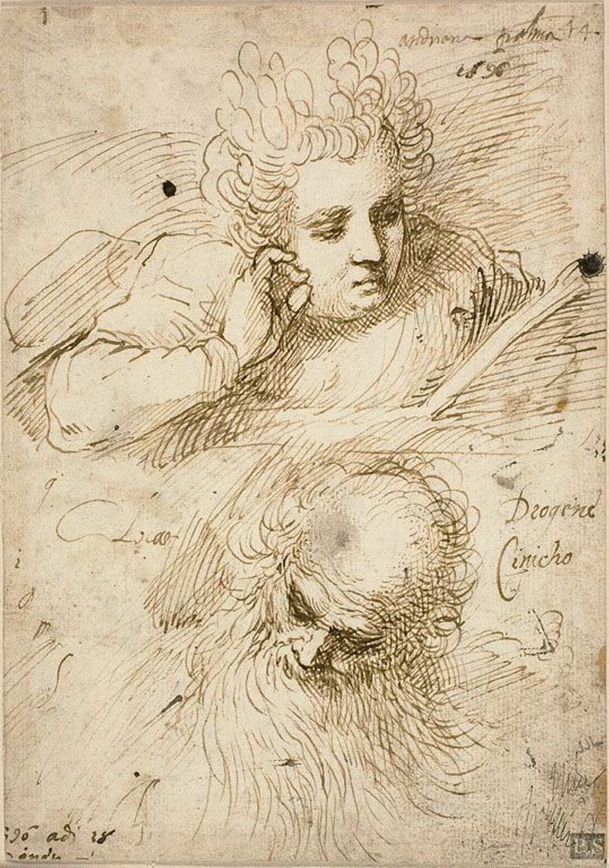 Andriana Palma és Diogenes, a cinikus alkotó: Jacopo Palma il Giovane