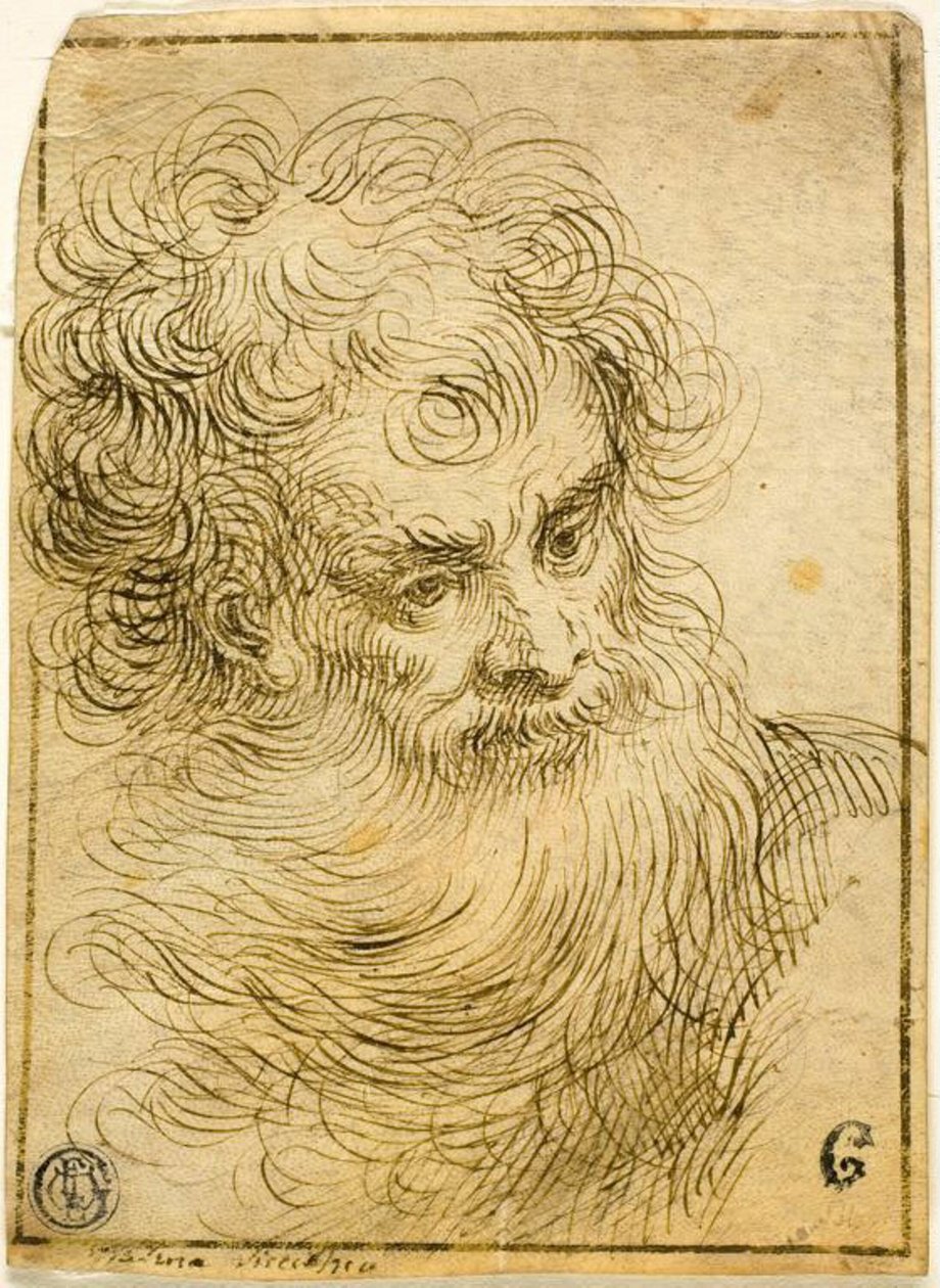 Szakállas Öreg feje (recto); Virág és levelek dekoratív vázlata (fordítva) alkotó: Jacopo Palma il Giovane