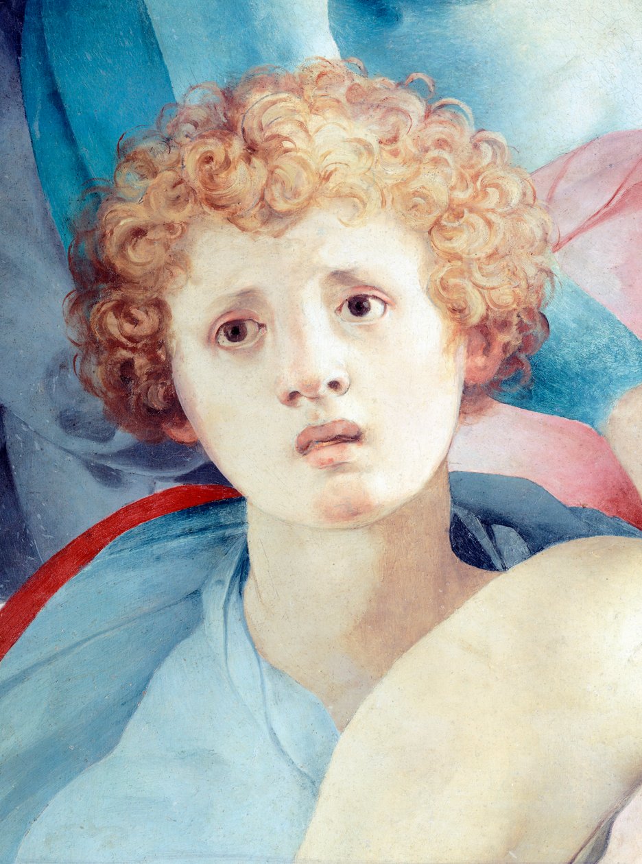 Fiatal férfi arca, A lerakódás részlete, Jacopo da Pontormo (1494-1557) alkotó: Jacopo Pontormo