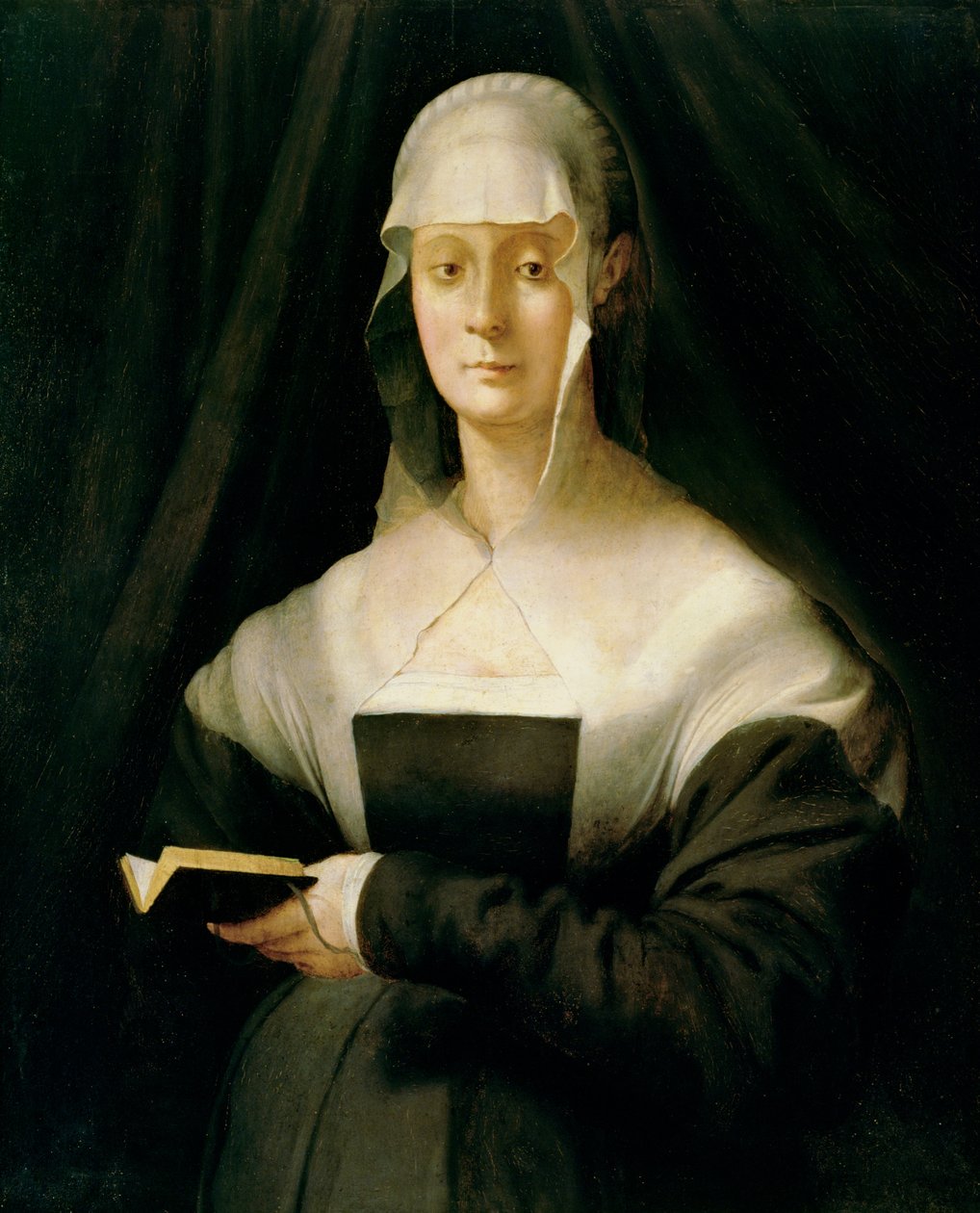 Mária Salviati portréja, 1543 alkotó: Jacopo Pontormo
