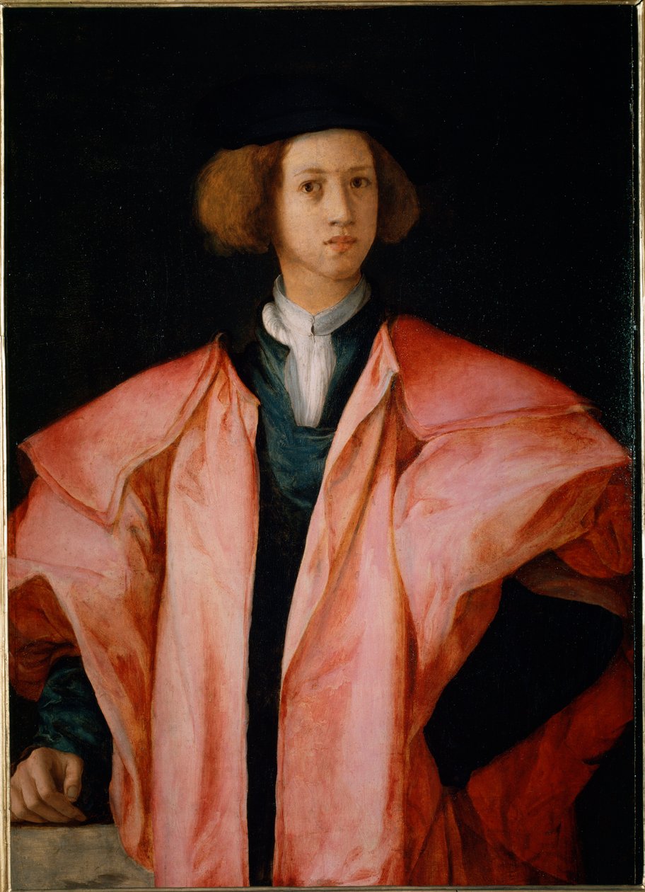 Egy fiatal férfi portréja, valószínűleg Alessandro de Medicis - olaj, tábla alkotó: Jacopo Pontormo