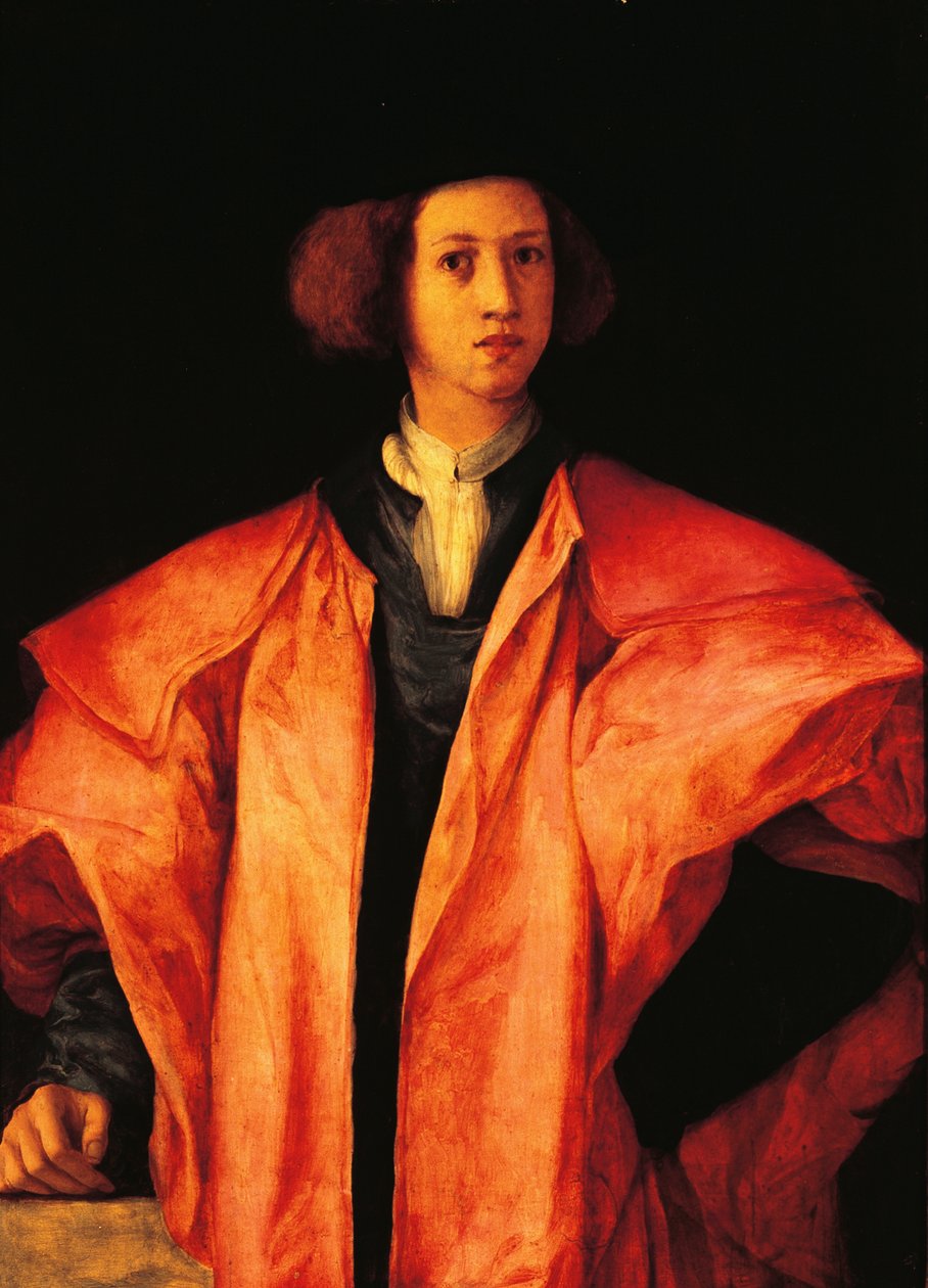 Fiatal férfi portréja, talán Amerigo Antinori, 1530 körül, Jacopo Carucci, Pontormo (1494-1557), olajtábla alkotó: Jacopo Pontormo