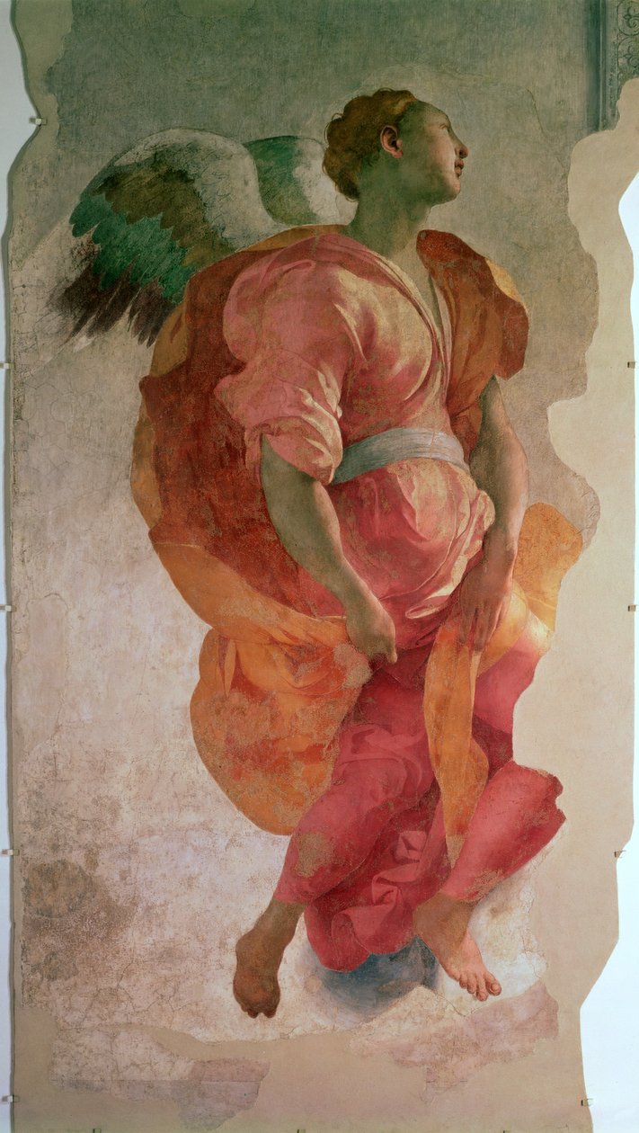 Angyali üdvözlet, részlet egy angyalról, 1527 körüli freskórészlet az 57520-ról, lásd még: 94965 alkotó: Jacopo Pontormo