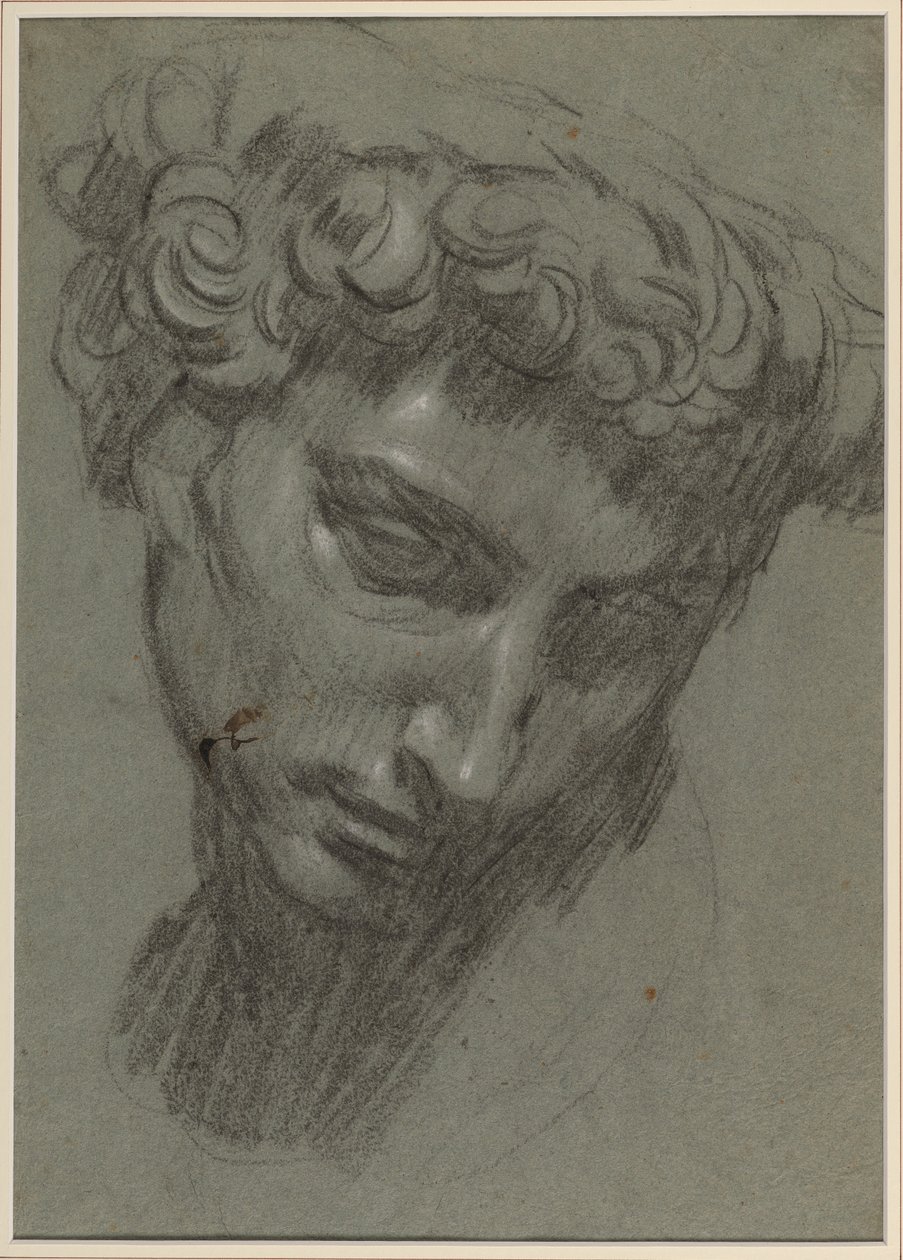 Giuliano de’ Medici portréja, Michelangelo után (recto) (fekete-fehér kréta kék papíron) alkotó: Jacopo Robusti (workshop of) Tintoretto