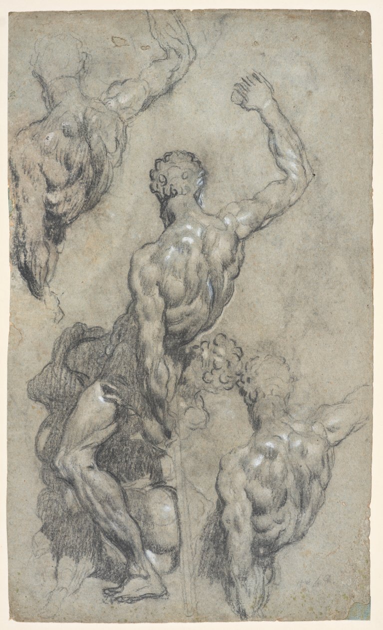 Tanulmányok Michelangelo „Sámson és a filiszteusok” című művéről, 1575–1585 körül (kréta, szén, gouache, papír) alkotó: Jacopo Robusti (workshop of) Tintoretto