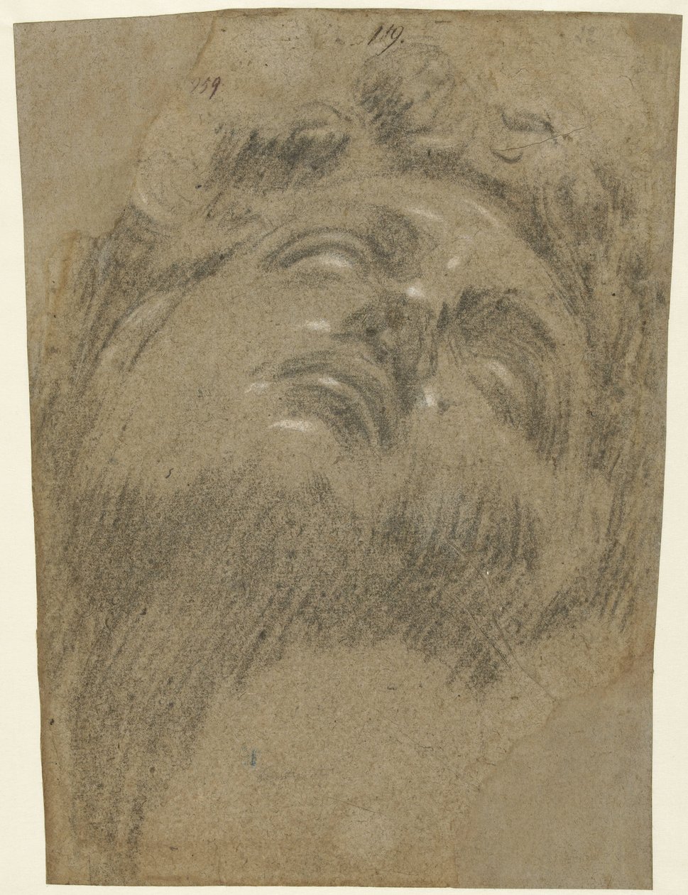Hoofd van Giuliano dei Medici alkotó: Jacopo Tintoretto