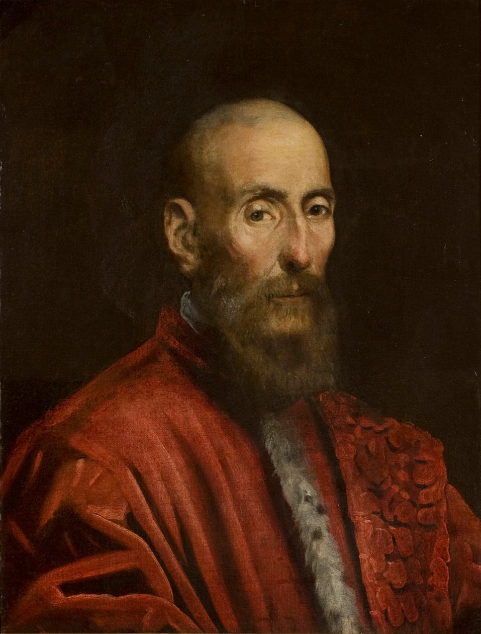 Egy szenátor portréja alkotó: Jacopo Tintoretto