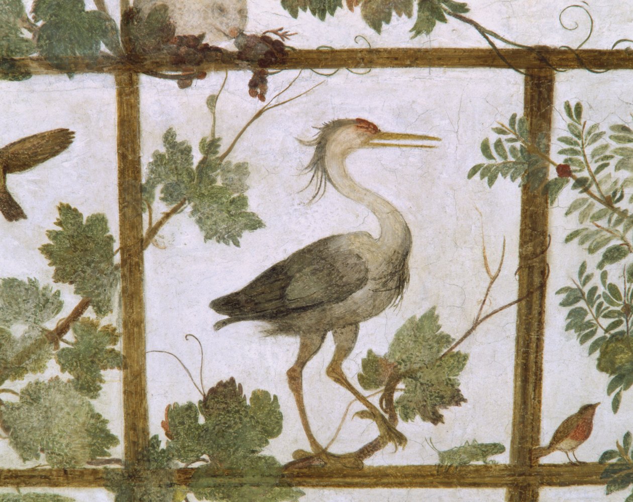 Ibis, egy madárház freskójáról a Villa Mediciben, 1576-77 alkotó: Jacopo Zucchi