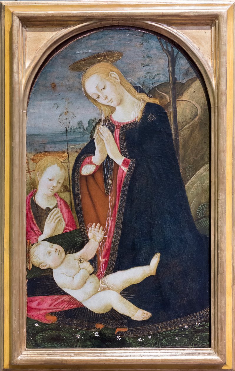 Krisztus imádása a fiatal Keresztelő Szent Jánossal alkotó: Jacopo del Sellaio