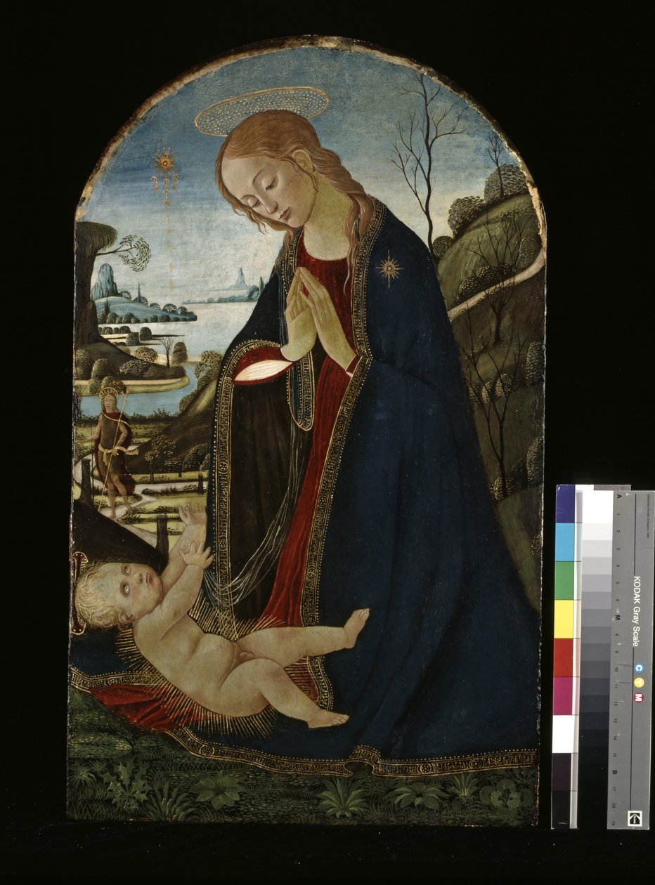 Madonna imádja a Krisztus-gyermeket (olaj, fa) alkotó: Jacopo del Sellaio