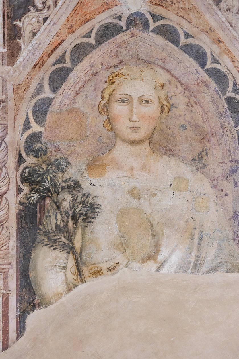 A dialektika allegóriája (freskó) alkotó: Jacopo di Cione