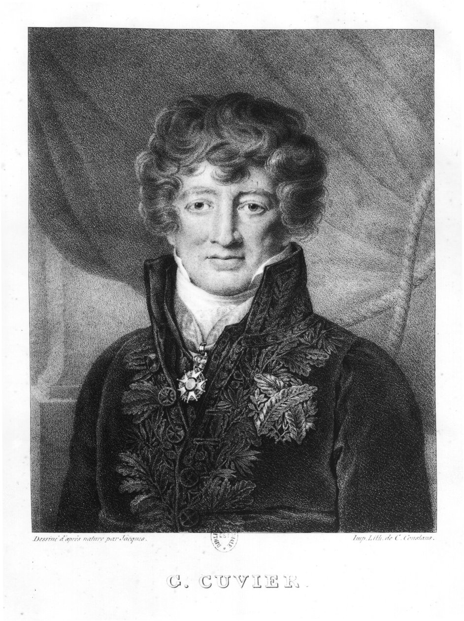 Georges Cuvier (1769-1832) portréja alkotó: Jacques