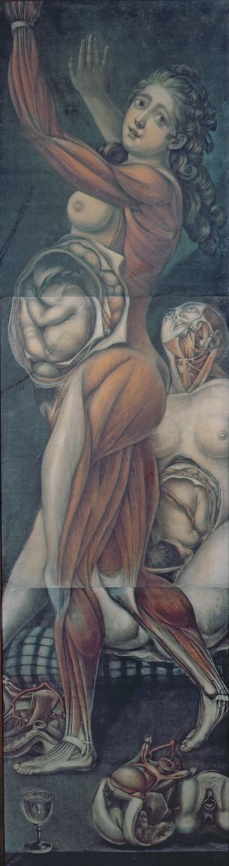 Két terhes nő anatómiai vizsgálata (mezzotint) alkotó: Jacques Fabien Gautier d