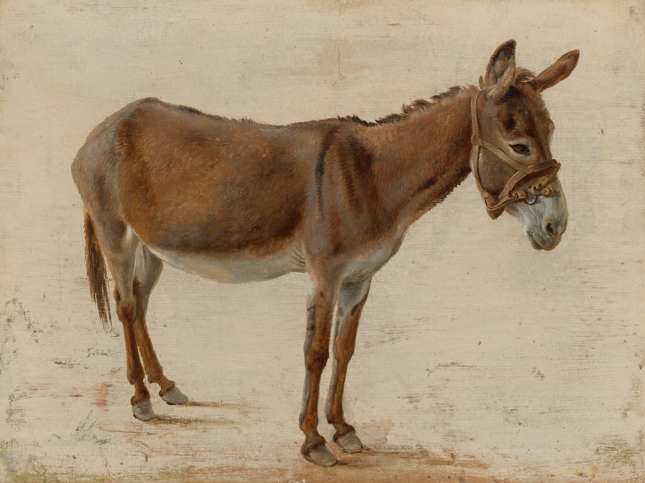 Egy szamár alkotó: Jacques Laurent Agasse