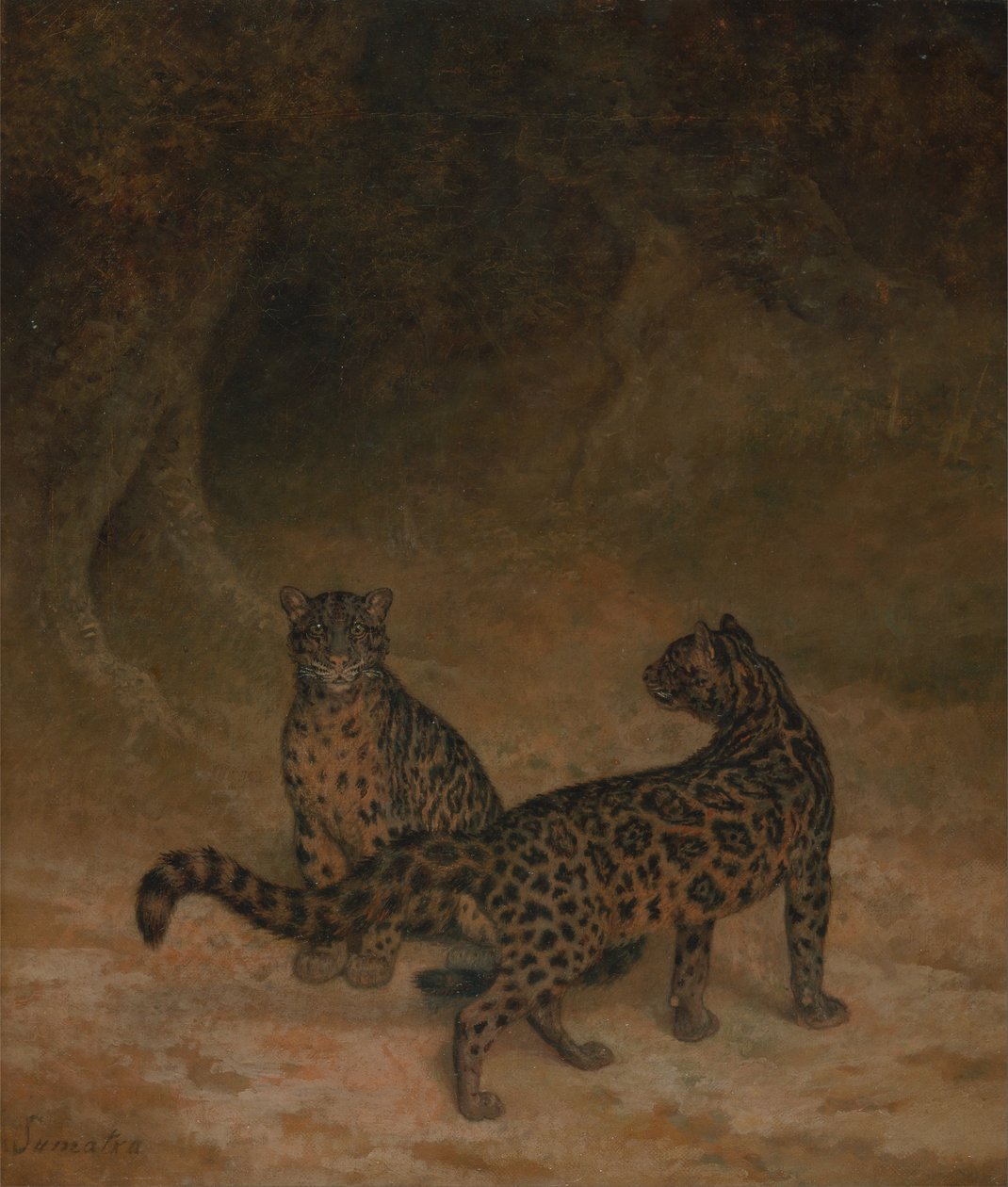 Felhős leopárdok alkotó: Jacques Laurent Agasse