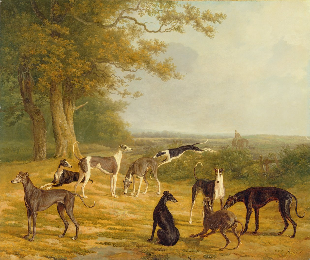 Kilenc agár egy tájban alkotó: Jacques Laurent Agasse