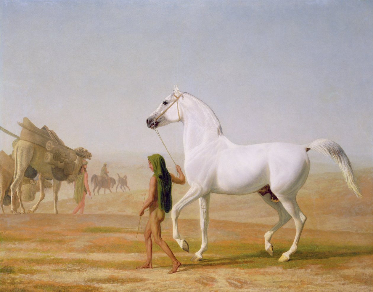 A Wellesley Grey Arabian átvezetett a sivatagon, 1810 körül alkotó: Jacques Laurent Agasse