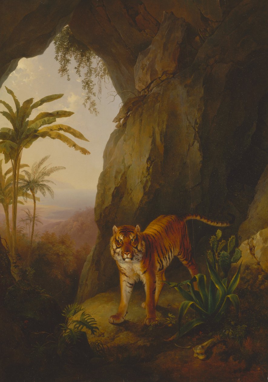 Tigris egy barlangban alkotó: Jacques Laurent Agasse