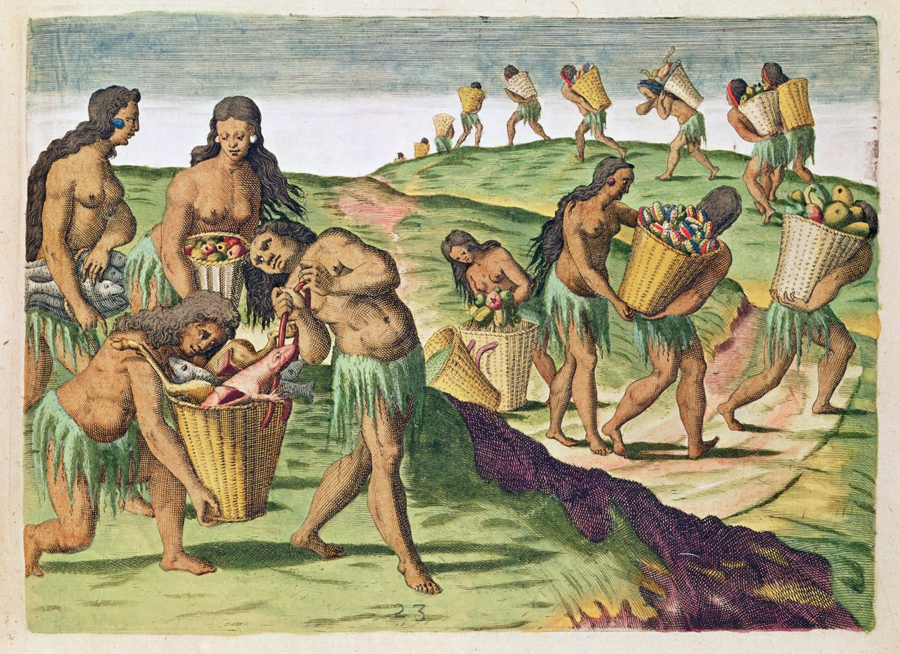Élelmiszer gyűjtése a közösségi raktár számára, a „Brevis Narratio…”-ból, Theodore de Bry (1538-98) metszete, Frankfurtban, 1591 alkotó: Jacques Le Moyne