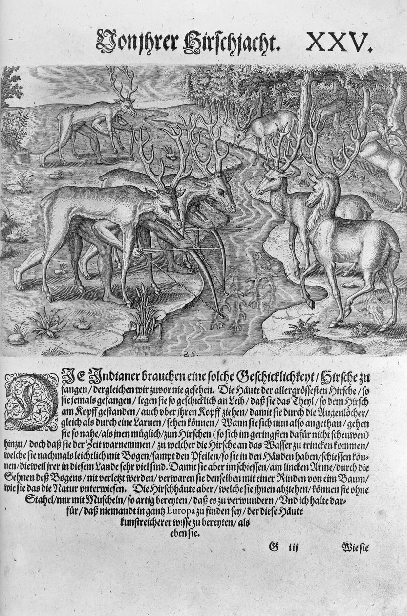 Floridai indiánok szarvasra vadászva szarvasbőr alá álcázva, az „Americae Decima Pars”-ból, amelyet Theodor de Bry (1528-98) vésett 1591 alkotó: Jacques Le Moyne