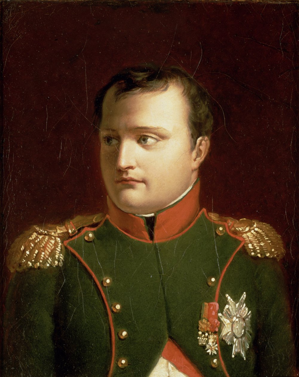 Napóleon Bonaparte (1769-1821) (olaj) alkotó: Jacques Louis David