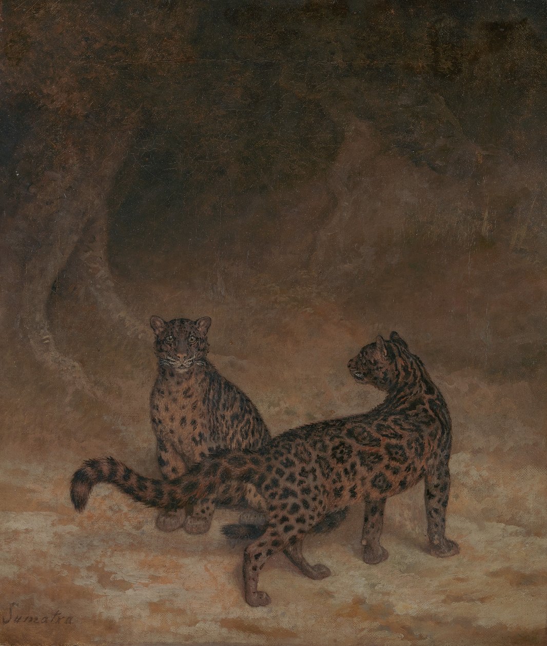 Felhős leopárdok alkotó: Jacques-Laurent Agasse