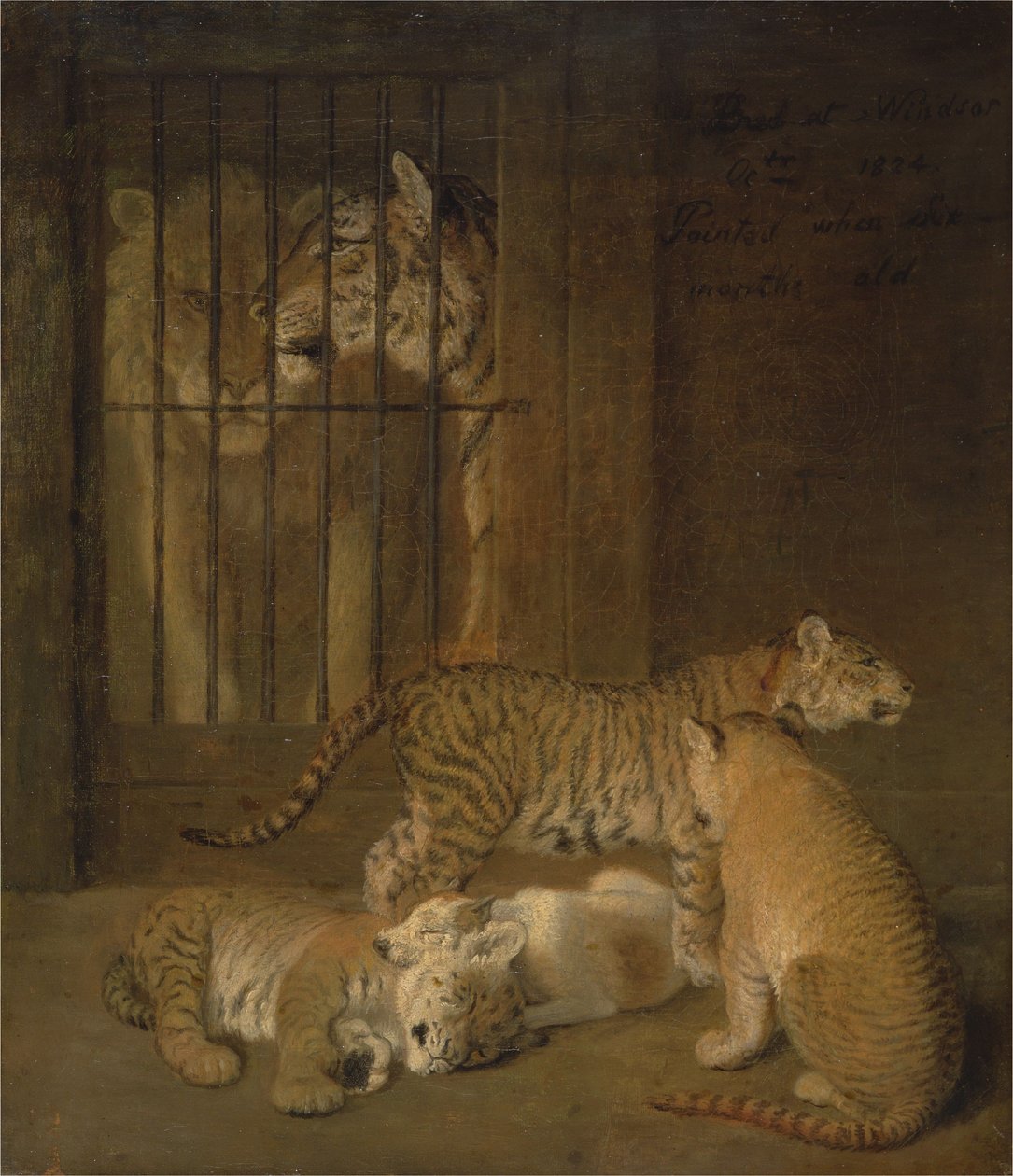 Oroszlán és tigris között szaporodó kölykök csoportja alkotó: Jacques-Laurent Agasse