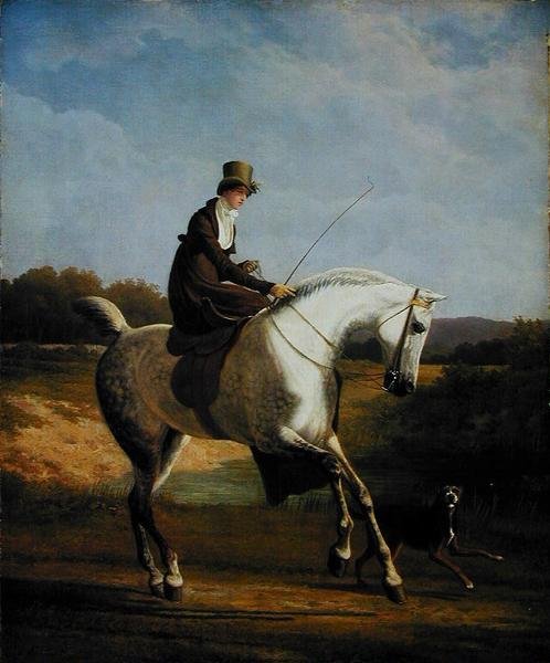 Miss Casenove egy szürke vadászon (olaj, vászon) alkotó: Jacques Laurent Agasse