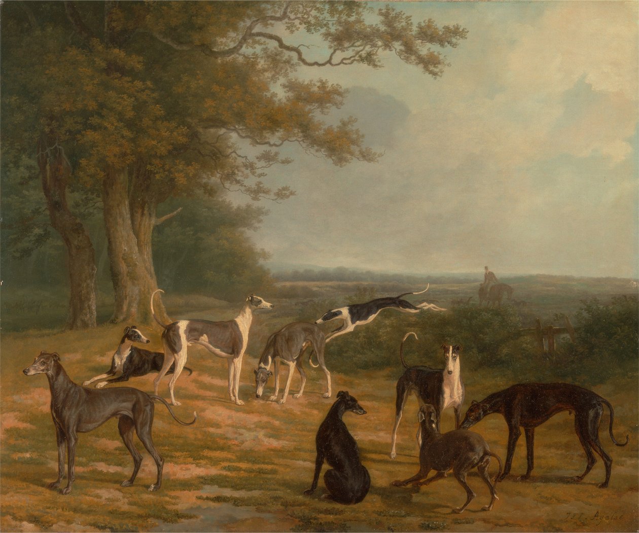 Kilenc agár egy tájban alkotó: Jacques-Laurent Agasse