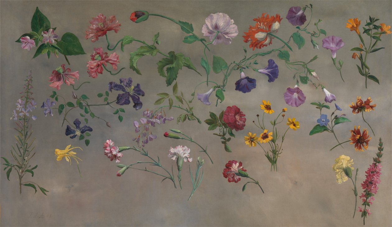 Studies of Flowers [1985, Cormack, YCBA Concise Catalogue] alkotó: Jacques-Laurent Agasse