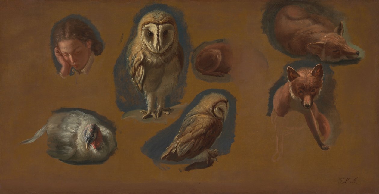 Tanulmányok egy rókáról, egy gyöngybagolyról, egy borsóról és egy fiatalember fejéről alkotó: Jacques-Laurent Agasse