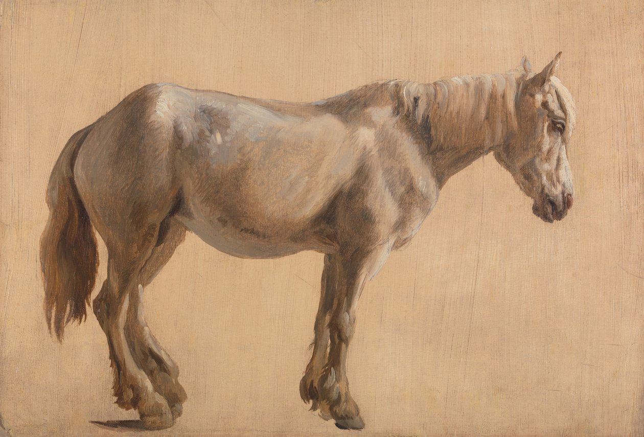 Tanulmány egy szürke lóról alkotó: Jacques-Laurent Agasse