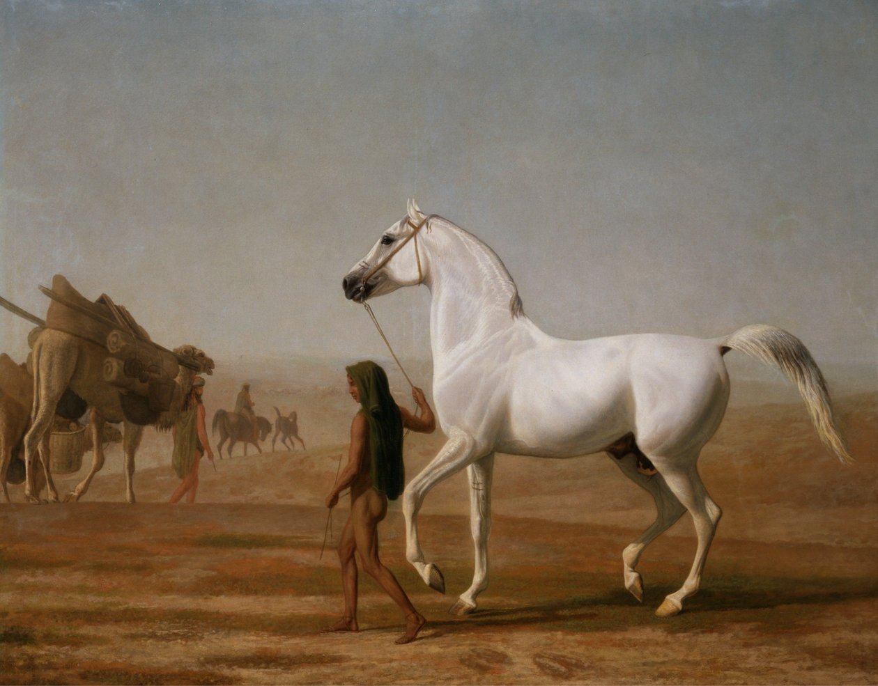 A Wellesley szürke arab átvezetett a sivatagon alkotó: Jacques-Laurent Agasse