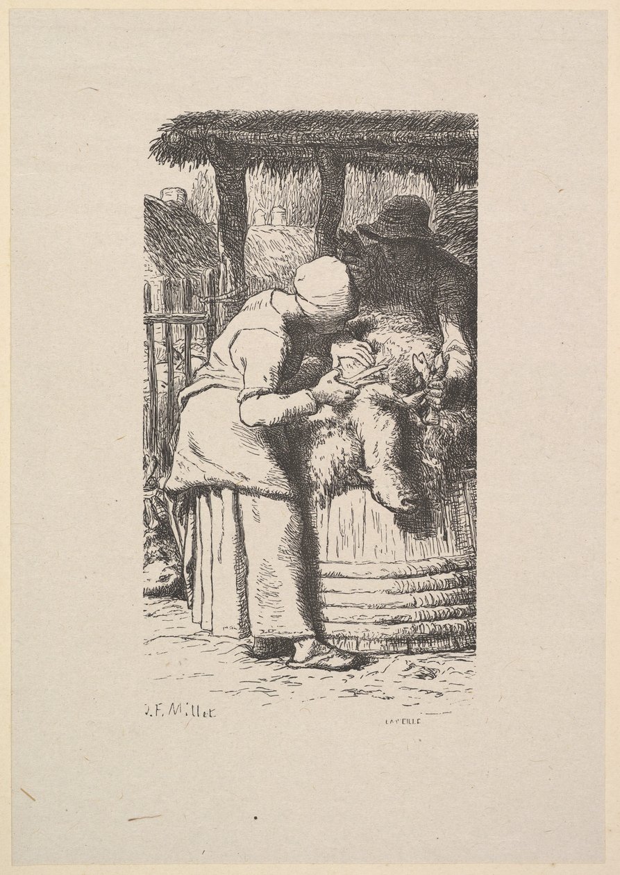 Birkanyírás, 1853. alkotó: Jacques Adrien Lavieille