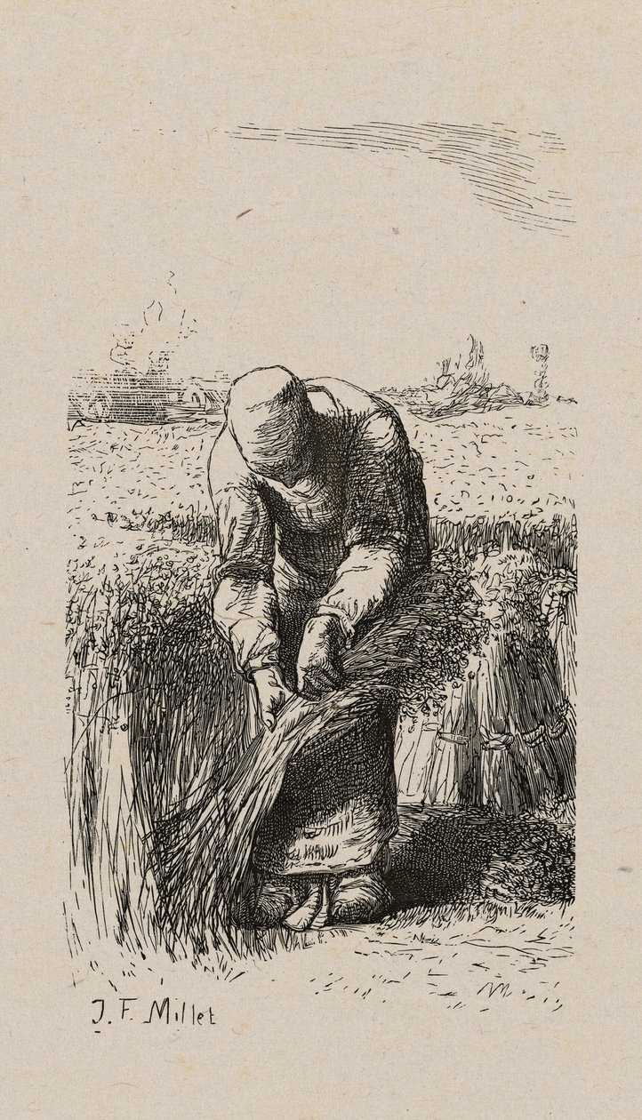 nő húzza len alkotó: Jacques Adrien Lavieille