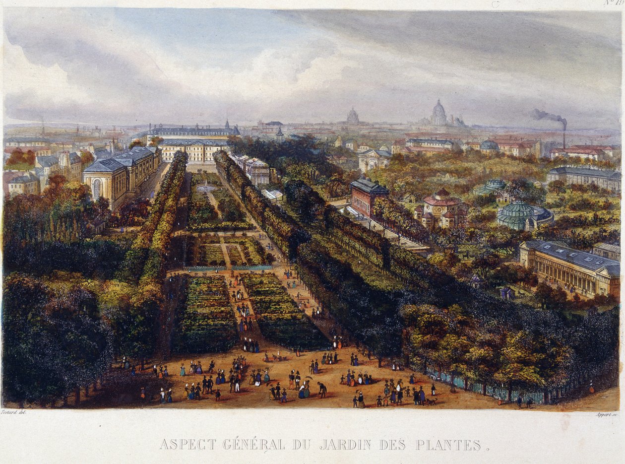 Kilátás a Jardin des Plantes-re – Testard litográfiája alkotó: Jacques Alphonse (after) Testard