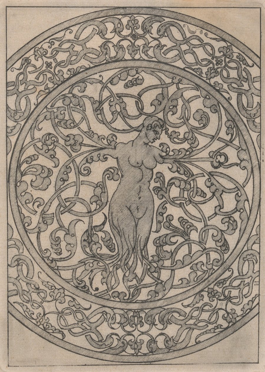 Példányok a „Moreszk átjárót tartalmazó könyv” 11. tábla után, 19. század. alkotó: Jacques Androuet Du Cerceau