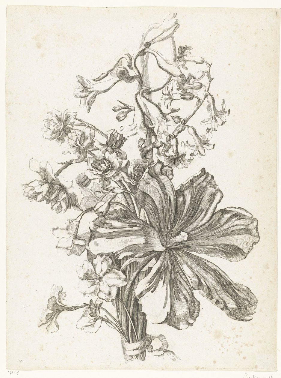 Csokor tulipánnal, jácinttal, brodiaeával és nárciszokkal Diverse Fleurs mises en Boucquets (sorozat címe) alkotó: Jacques Bailly (I)