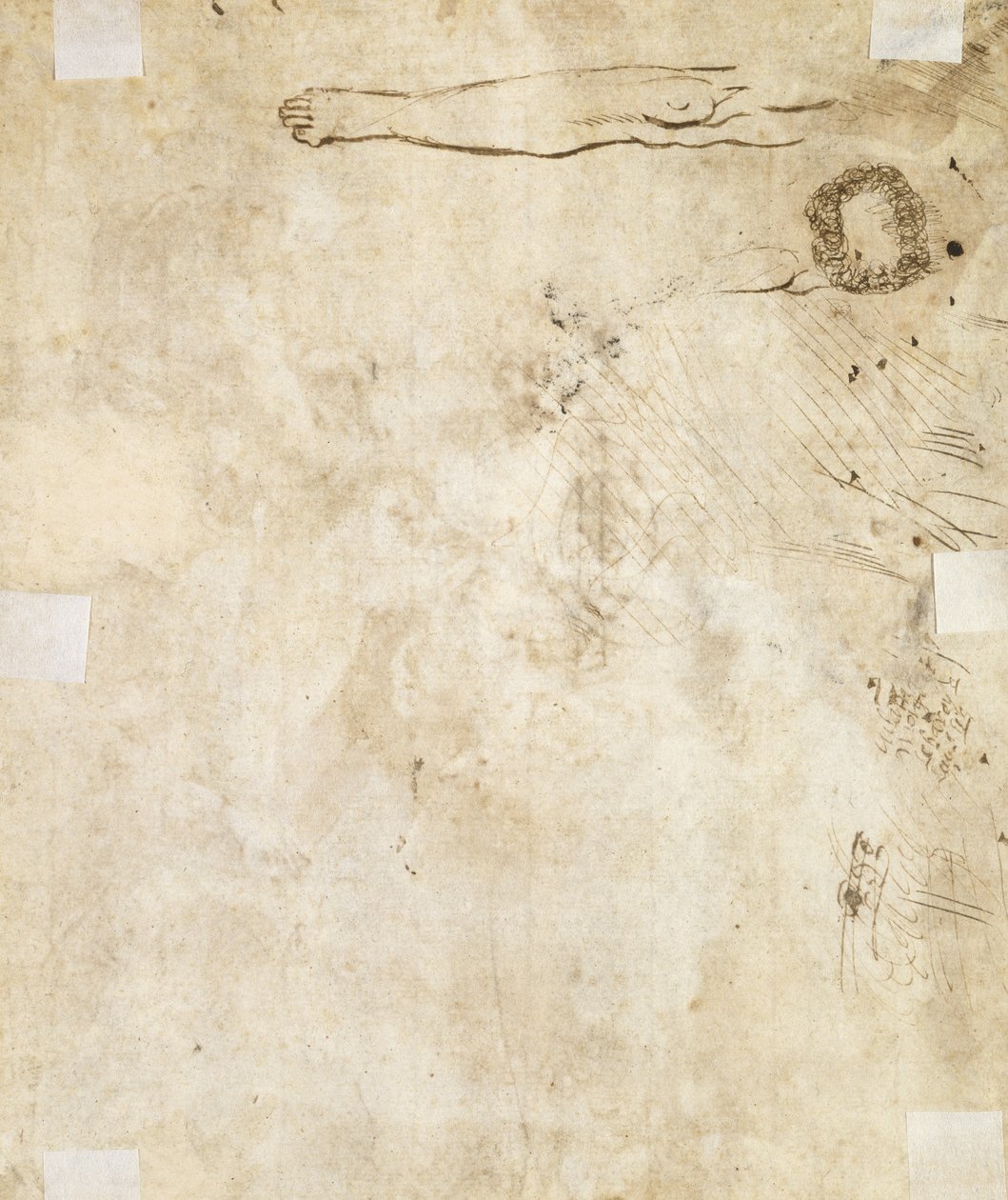 Tanulmány a lábról, a virágzásról és az emblémákról, 1610-17 alkotó: Jacques Bellange