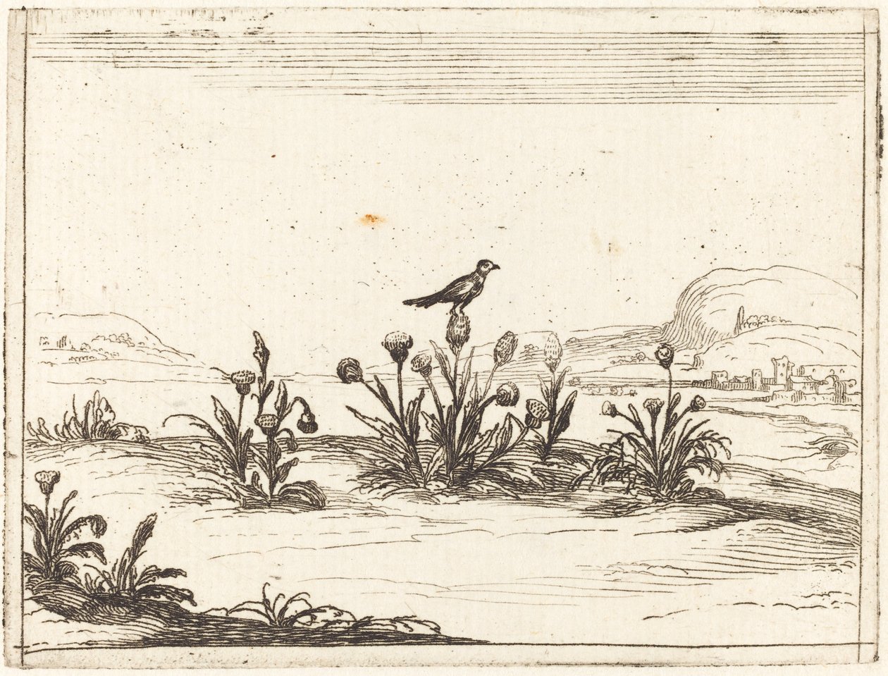 Madár ült a bogáncson alkotó: Jacques Callot