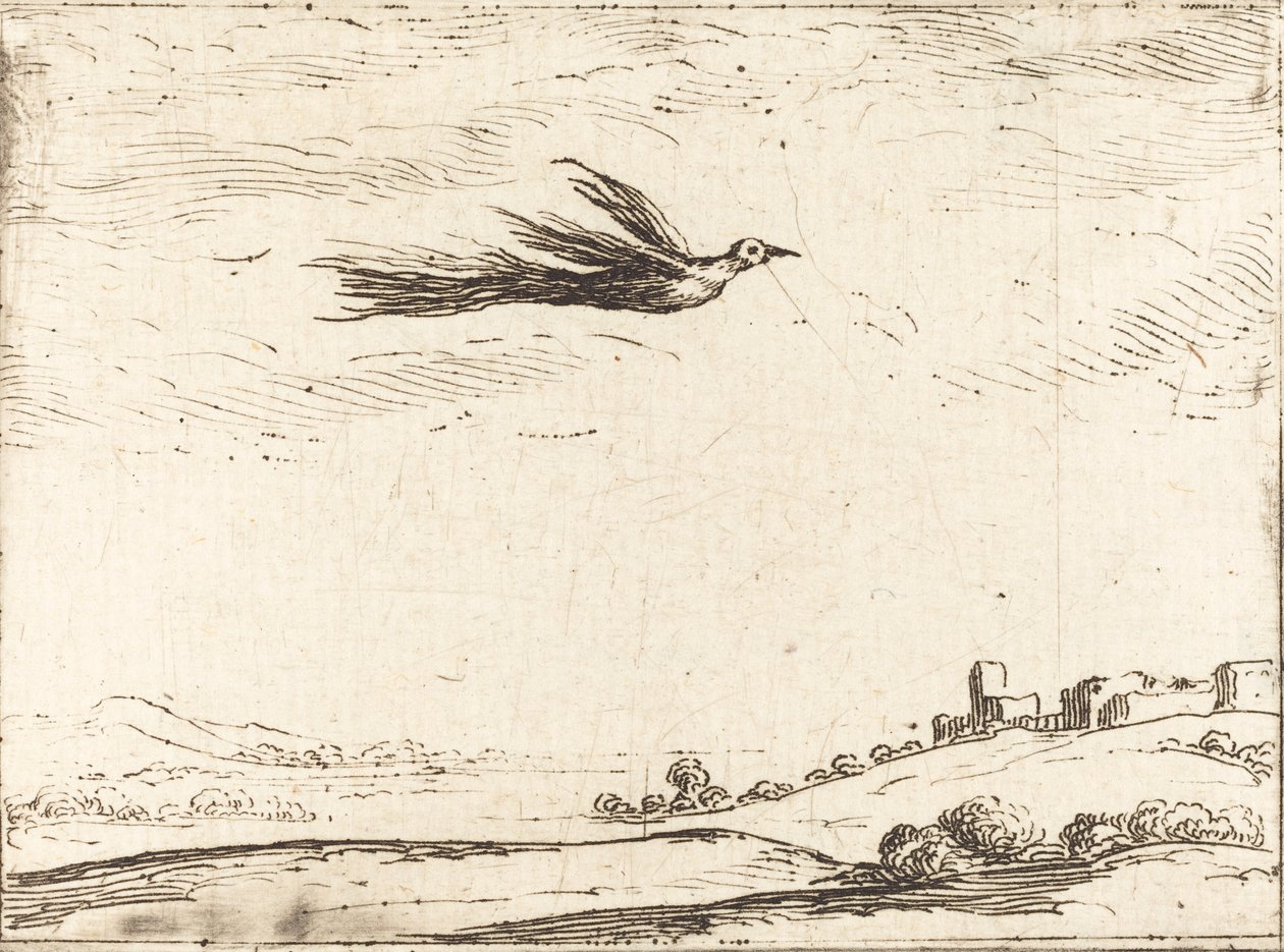 Paradicsom madár. alkotó: Jacques Callot