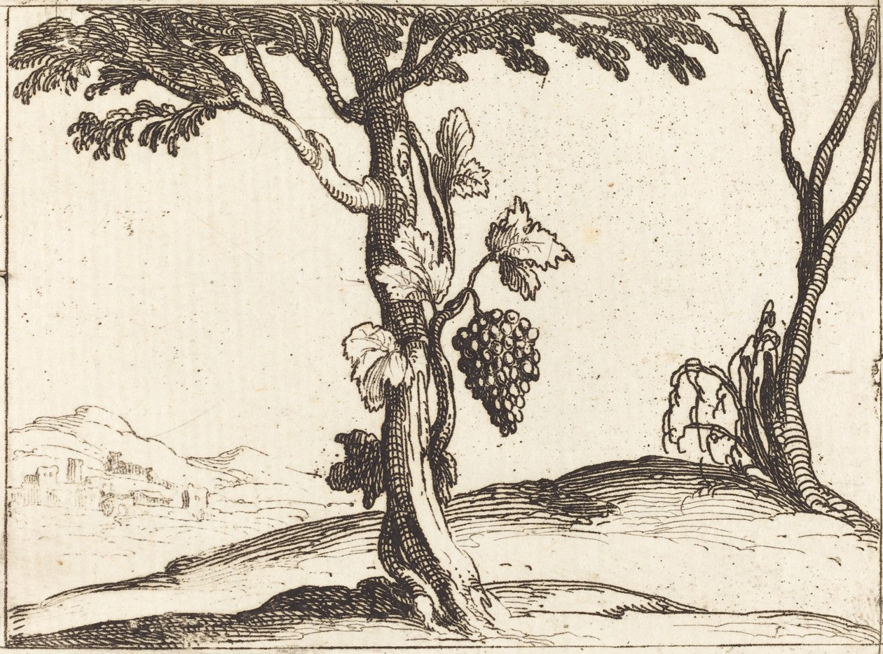 Szőlőfürt alkotó: Jacques Callot
