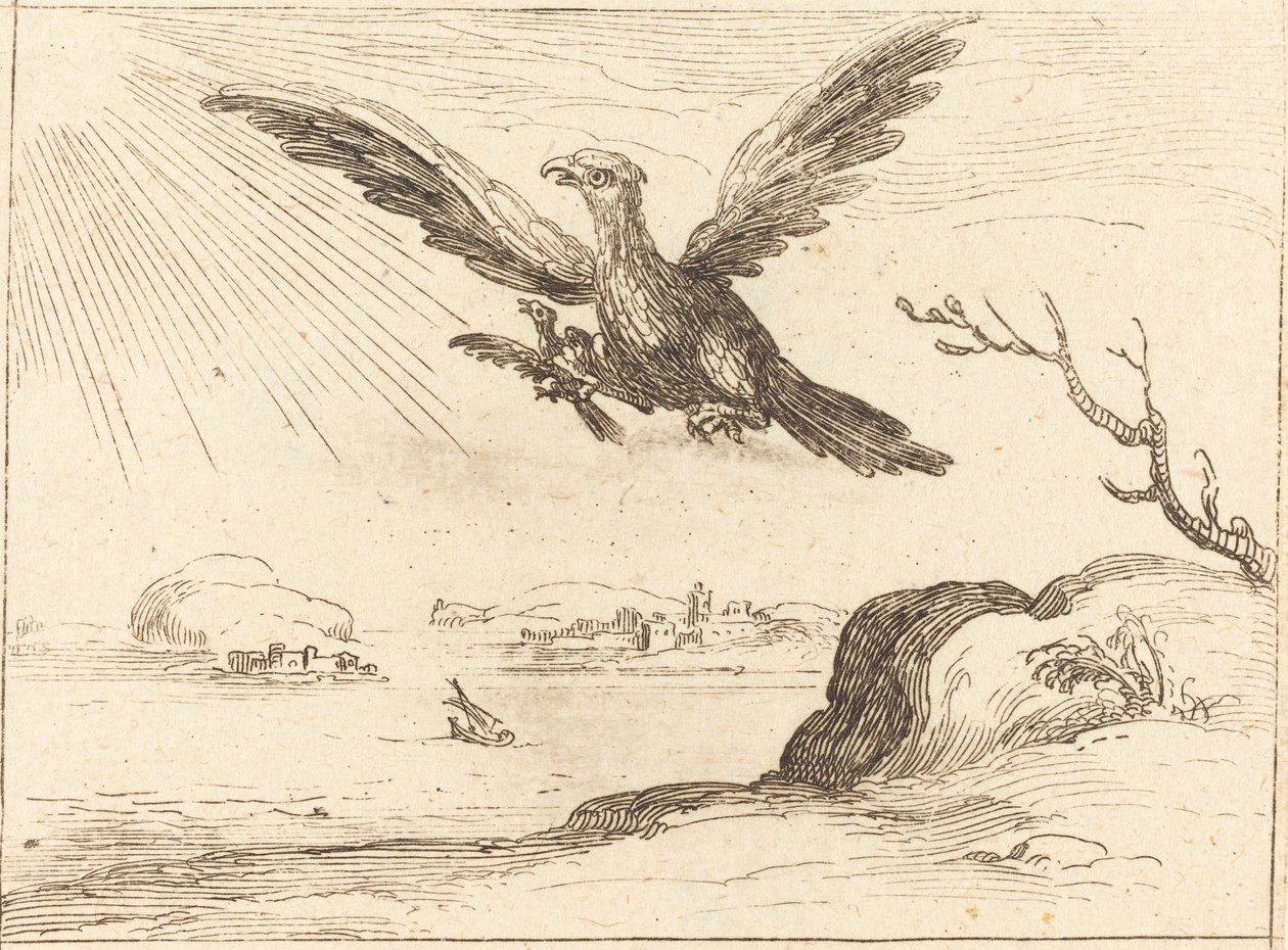 Eagle and Young. alkotó: Jacques Callot