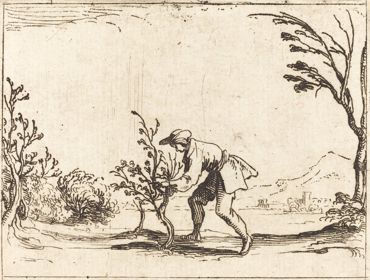 Férfi balzsamfát vág alkotó: Jacques Callot