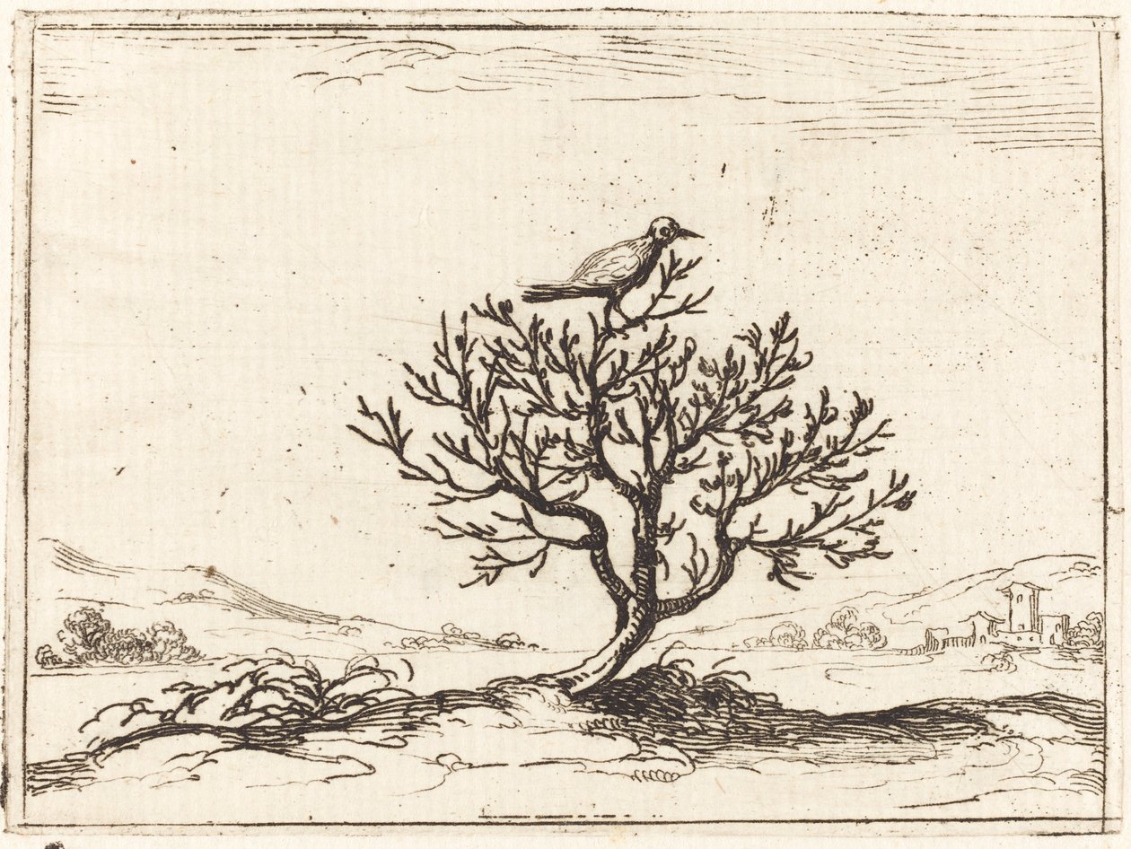 Nightingale a bokorban alkotó: Jacques Callot