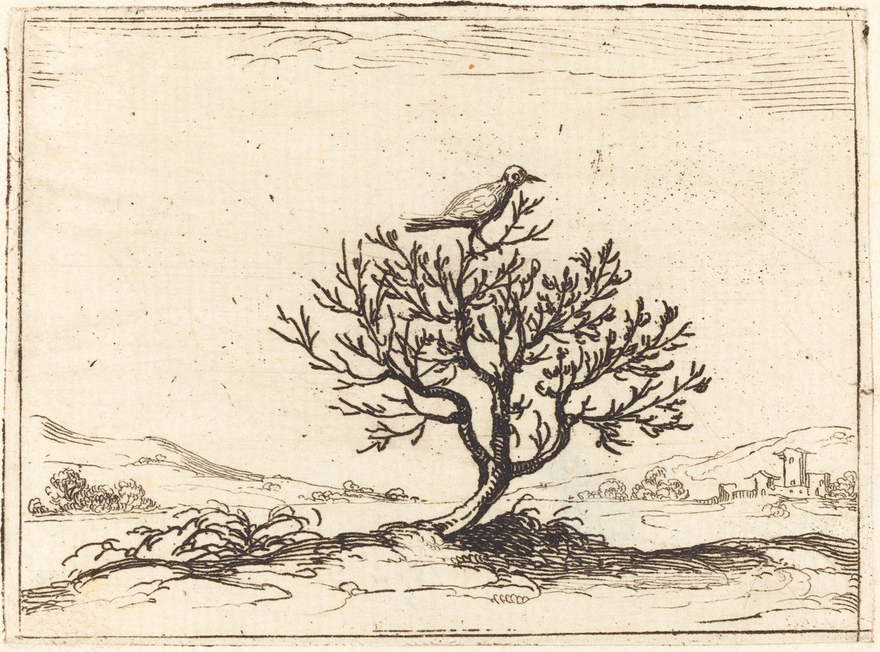 Nightingale in a Bush, 1628. alkotó: Jacques Callot