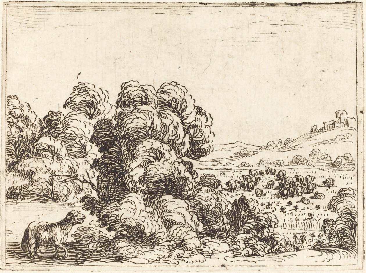Bárány hívó bárány alkotó: Jacques Callot